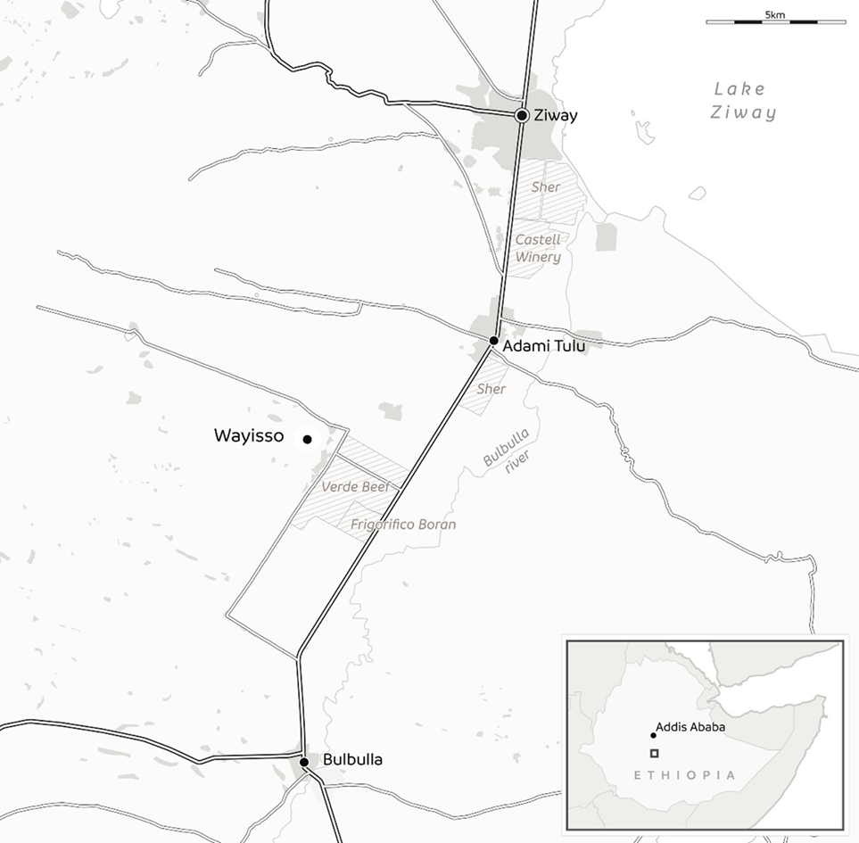 Map showing the location of Wayisso and neighbouring towns Adami Tulu, Bulbulla, and Ziway in Ethiopia's Rift Valley
